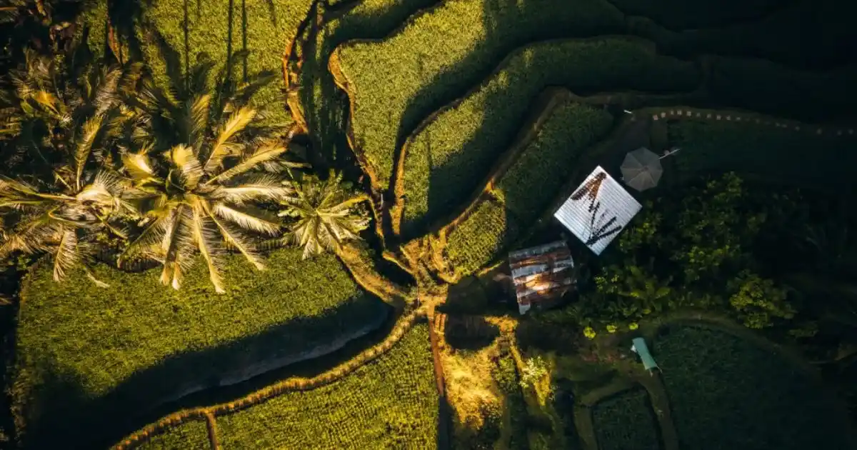 Art on Drone: Sekar Agri Merges Nusantara Culture with Technology
