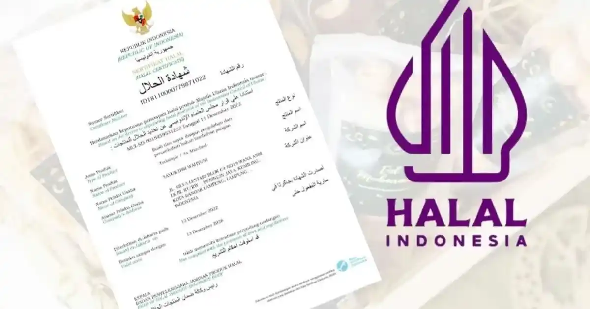 Business Certification Helps MSMEs Level Up