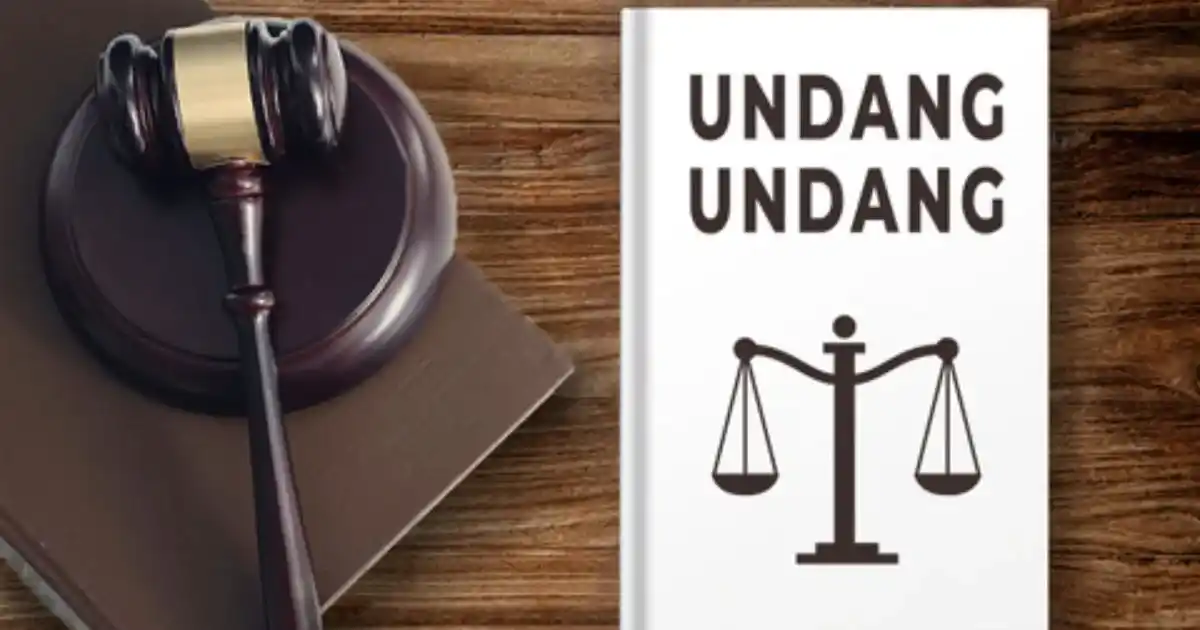 Unclear Health Law Norms, Not Lawsuits, Stall Specialist Doctors